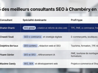 Meilleurs consultants SEO à chambéry : Shahin Gharbi